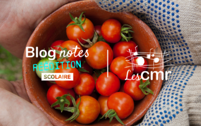 Blog notes – C1 #02 | Ça patouille au potager