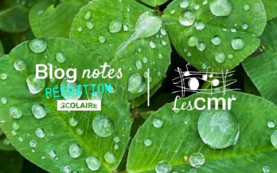 Blog notes-C2 #05 | Gouttes d’eau